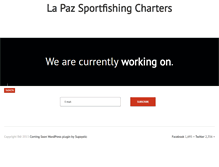 Tablet Screenshot of lapazsportfishingcharters.com